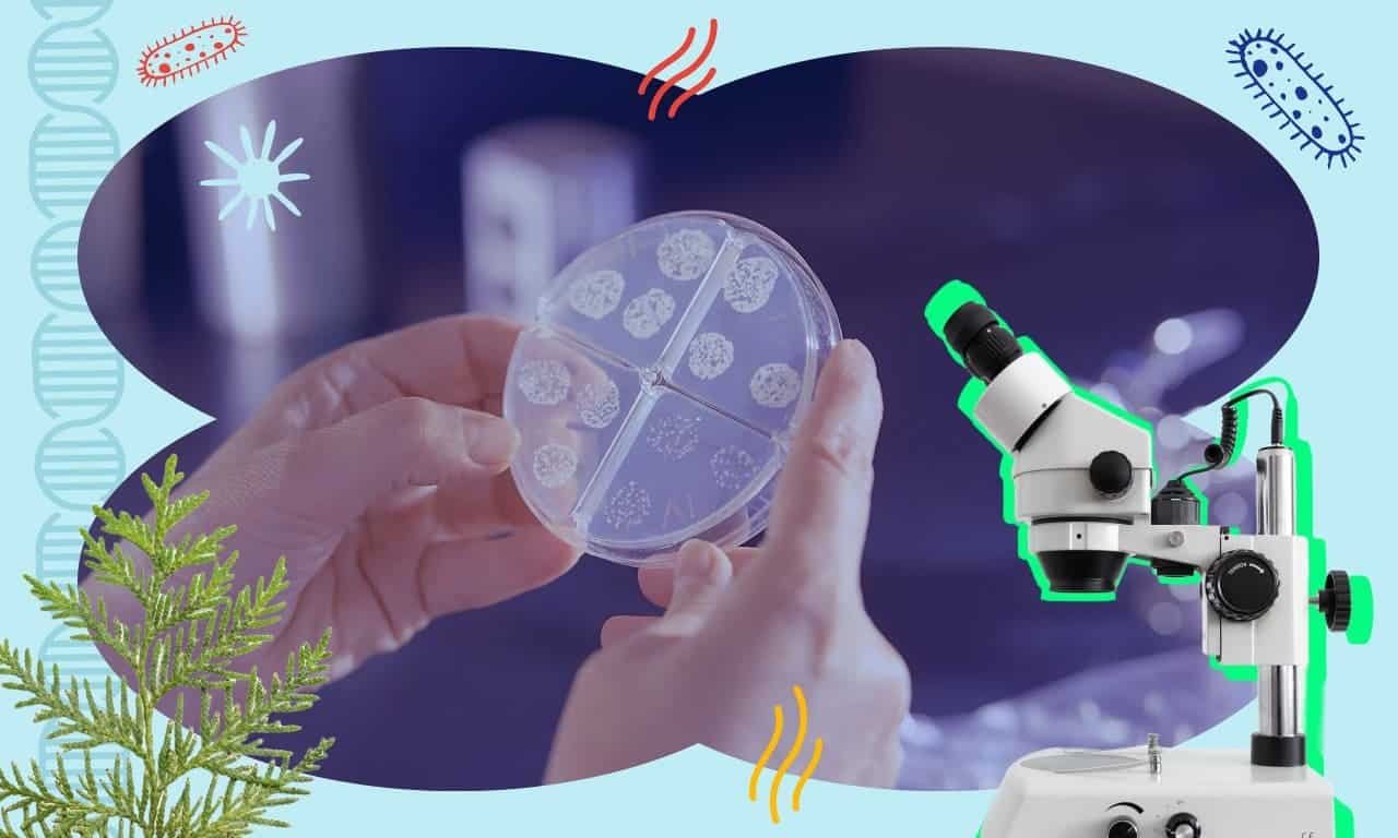 101 Biology Trivia Questions for the Greatest Nerds on Earth