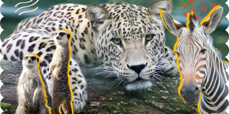 101 Animal Trivia Questions That Will Make You Go Wild