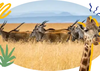 101 Mammal Trivia Questions: How Well Do You Know Your Mammals?