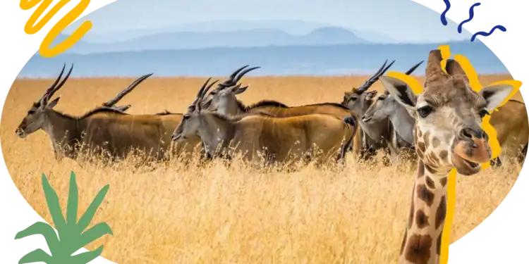 101 Mammal Trivia Questions: How Well Do You Know Your Mammals?