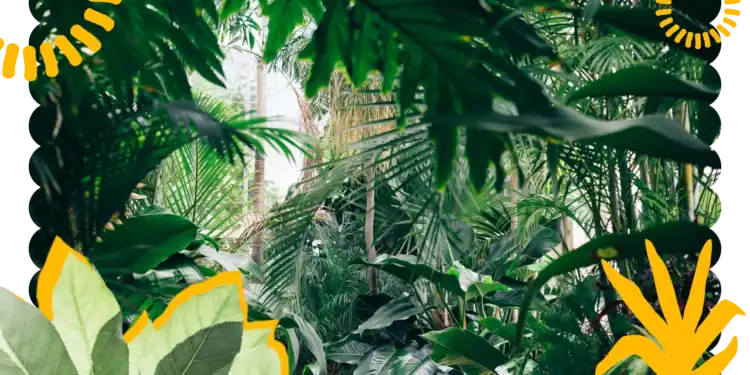 101 Plant Trivia Questions All Gardeners Know Better Than Other Gardeners