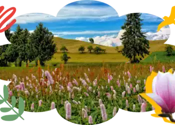 101 Flowers & Trees Trivia Questions To Let Your Knowledge Bloom