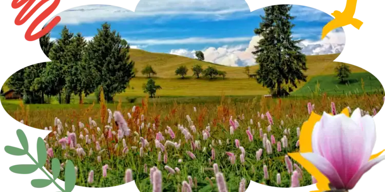 101 Flowers & Trees Trivia Questions To Let Your Knowledge Bloom