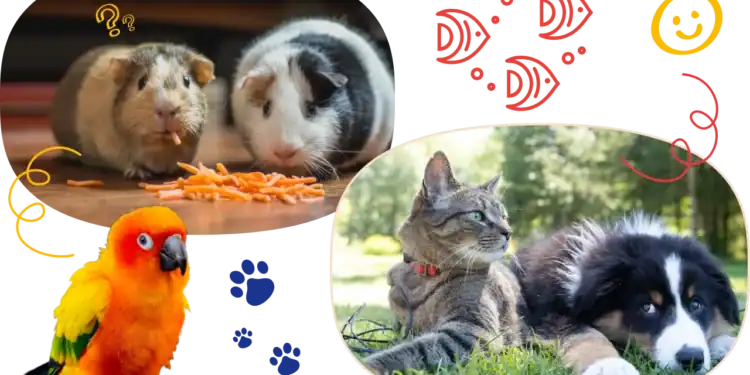 54 Pet Trivia Questions To Prove You’re an Animal Lover