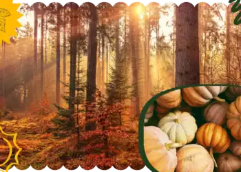 21 Fall Trivia Questions to Challenge Your Seasonal Knowledge