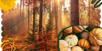 21 Fall Trivia Questions to Challenge Your Seasonal Knowledge