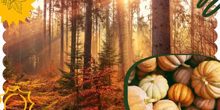 21 Fall Trivia Questions to Challenge Your Seasonal Knowledge