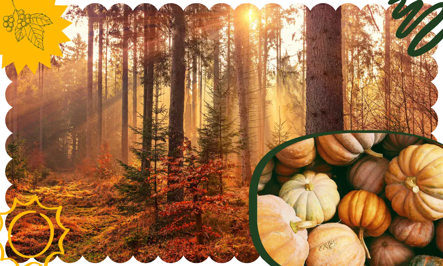 21 Fall Trivia Questions to Challenge Your Seasonal Knowledge