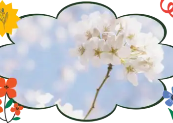 24 Spring Trivia Questions That Are Nothing To Sneeze At