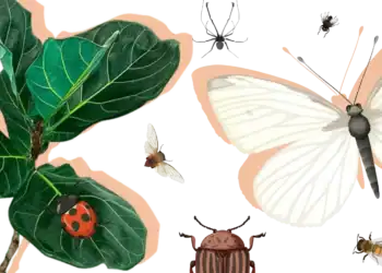 21 Insect Trivia Questions To Set Your Brain Crawling With Excitement