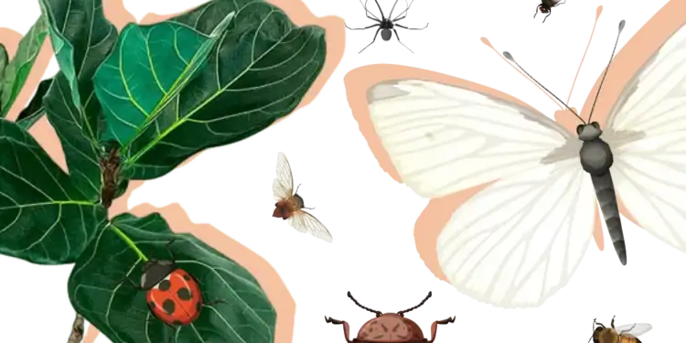 21 Insect Trivia Questions To Set Your Brain Crawling With Excitement