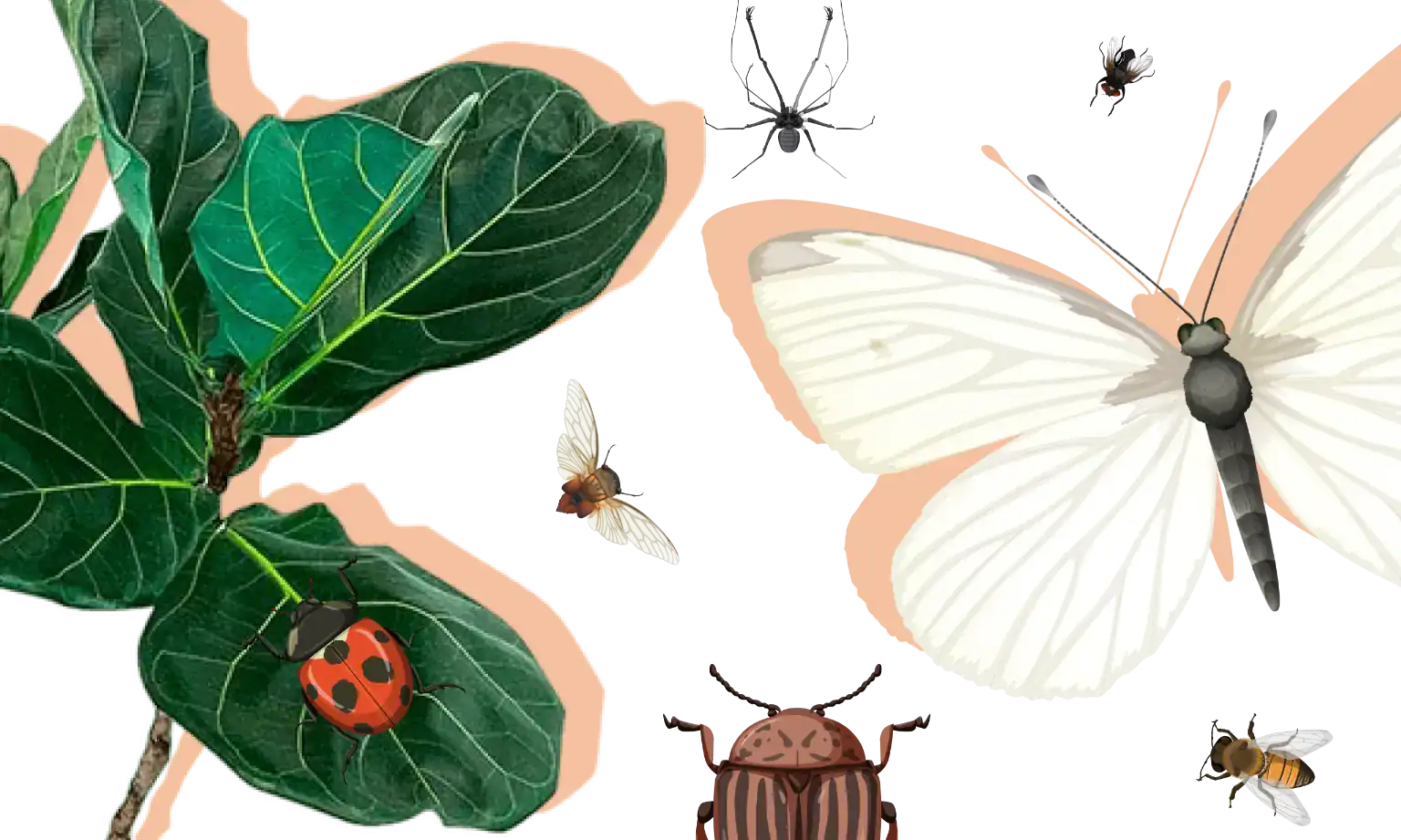 21 Insect Trivia Questions To Set Your Brain Crawling With Excitement