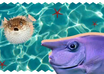 21 Fish Trivia Questions to Test the Strength of Your Scales