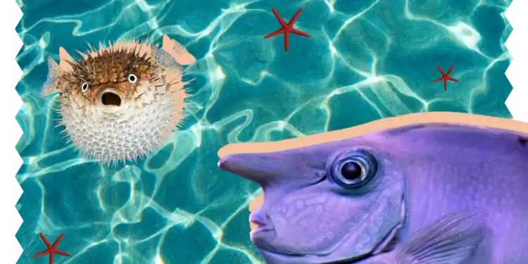 21 Fish Trivia Questions to Test the Strength of Your Scales