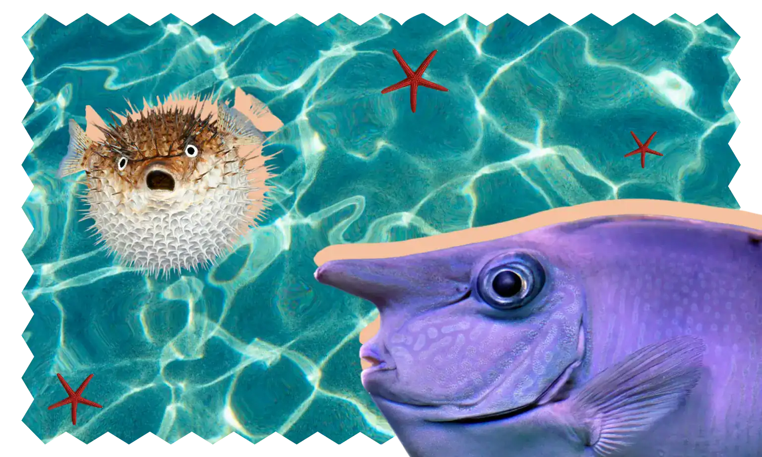 21 Fish Trivia Questions to Test the Strength of Your Scales