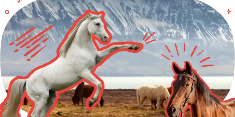 21 Horse Trivia Questions For The True Hippophile