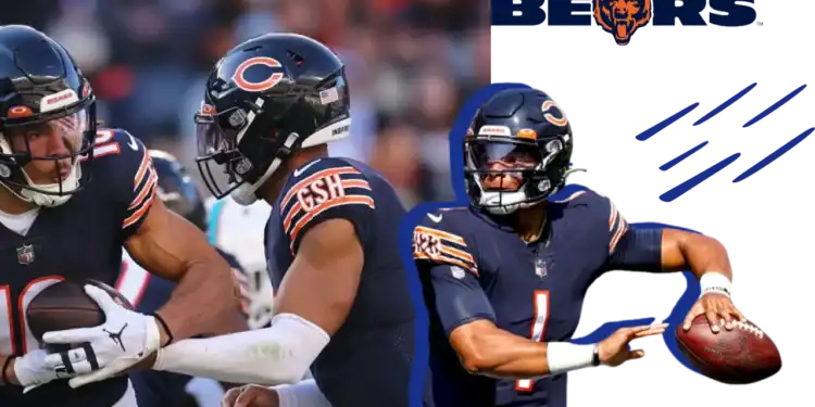 21 Chicago Bears Trivia Questions: Are You Ready to Roar?