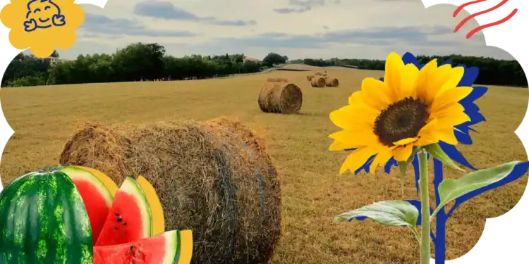 21 August Trivia Questions: Can You Handle The Heat?