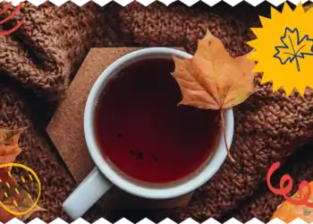 21 September Trivia Questions: Do You Know Autumn’s Arrival?
