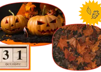 21 October Trivia Questions To Test Your Autumn Acumen