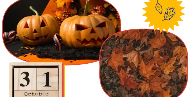 21 October Trivia Questions To Test Your Autumn Acumen