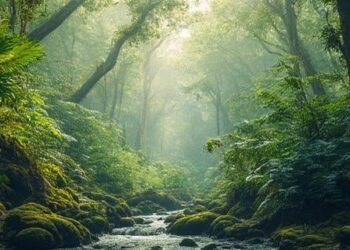 Image titled 6321 featuredImage at TriviaWhizz.com