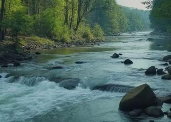 Image titled 6336 featuredImage at TriviaWhizz.com