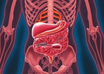 Image titled 7073 featuredImage at TriviaWhizz.com