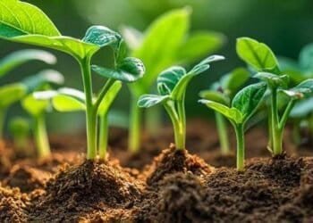 Image titled 7148 featuredImage at TriviaWhizz.com