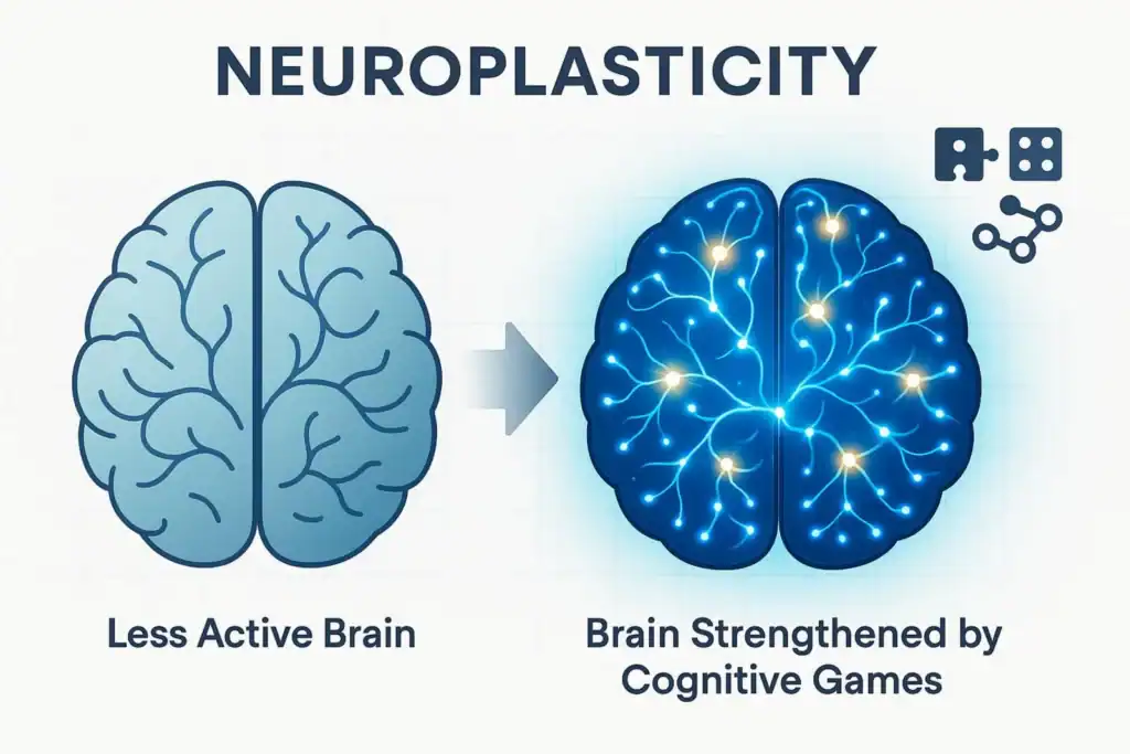 Image titled neuroplasticity infographic 4k5ap at TriviaWhizz.com